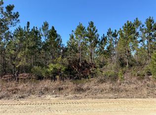 0 Elmer Thrift Rd, Waycross, GA 31503