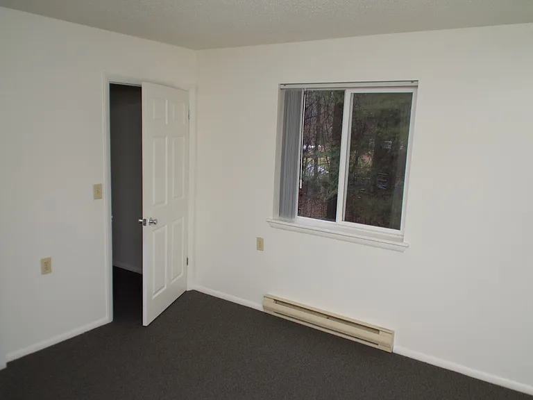 1038 Bonnieview Ter — Photo 10