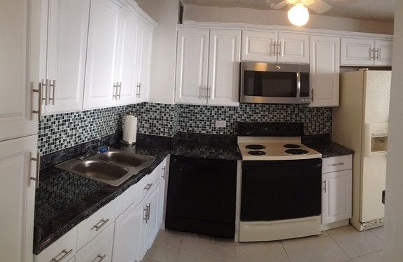 Kitchen - New Cabinets & Counter