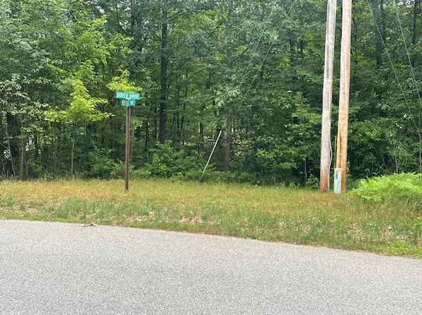 V/l 536 Dover Dr, Roscommon, MI 48653