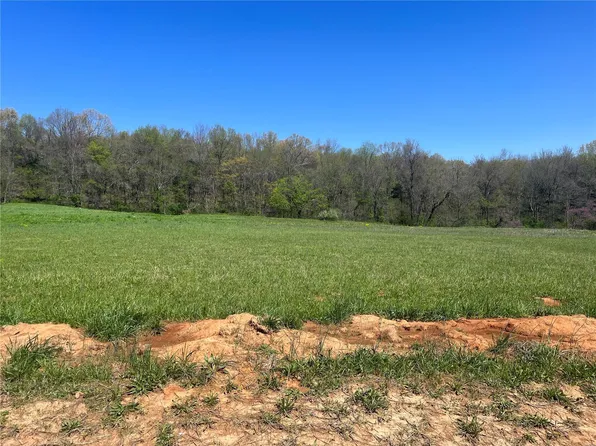 3 County Road 528, Fredericktown, MO 63645