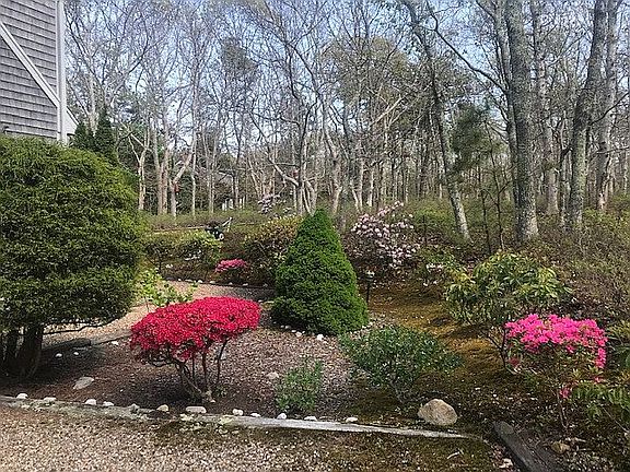 Mature/Colorful Plantings