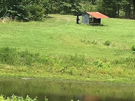 4th image of 243 Polk Road 306