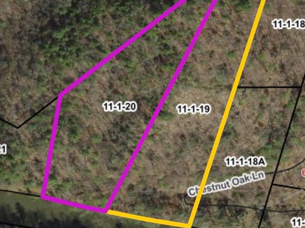 Chestnut Oak Ln, Dugspur, VA 24325