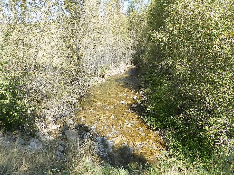 1st image of Rainey Creek Road