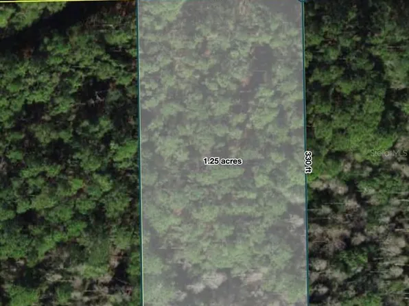 Polk City Lot 208, Polk City, FL 33868