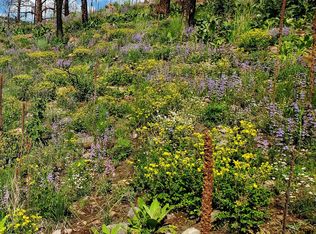 957 Stringtown Gulch Rd, Bellvue, CO 80512