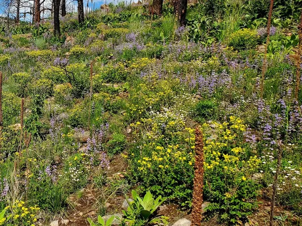 957 Stringtown Gulch Rd, Bellvue, CO 80512