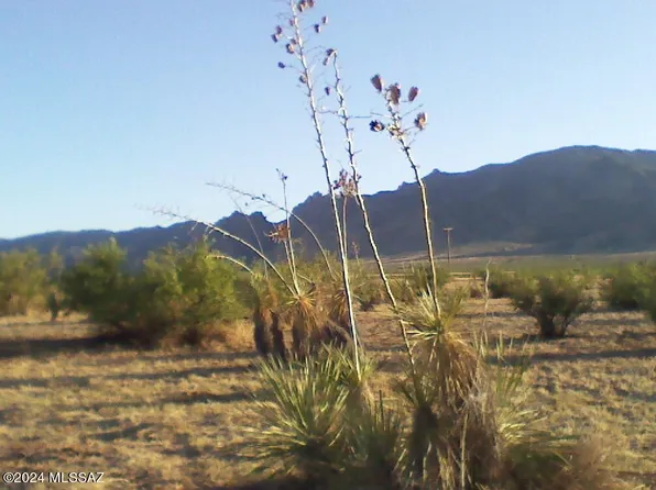 1155 W Trigger Ln, Cochise, AZ 85606