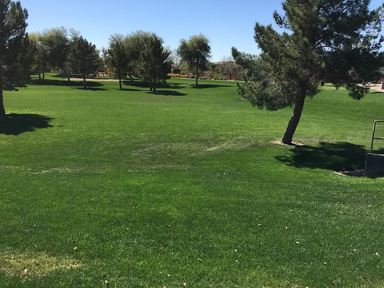 Large Community Park