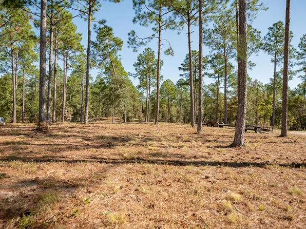 8191 Harvel Pond Rd, Donalsonville, GA 39845