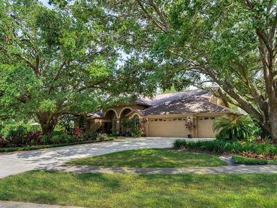 17321 Oak Ledge Dr, Lutz, FL, 33549