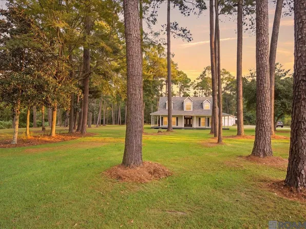 17580 M Guitreau Ln, Livingston, LA 70754