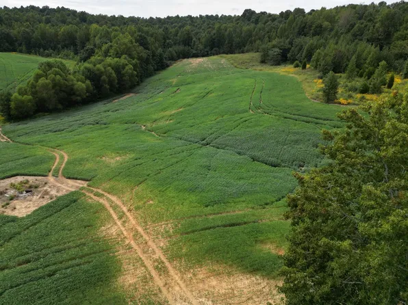 0 State Highway 601 Tract 4, Greenville, KY 42345