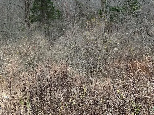 Camp Orange Road, Middletown, NY 10941