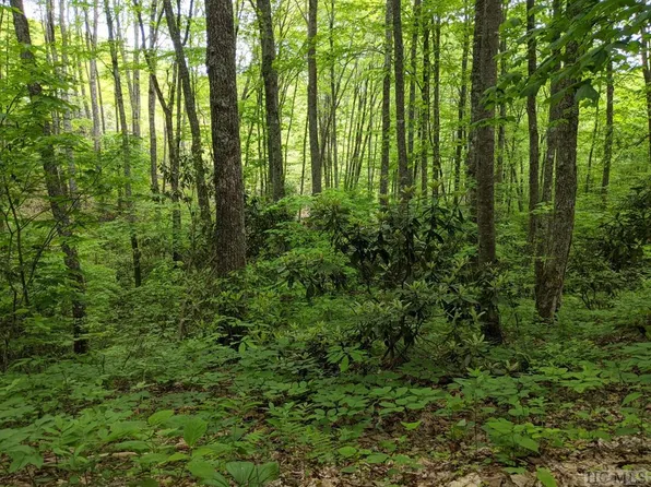 17010 Buck Knob Road, Cullowhee, NC 28723