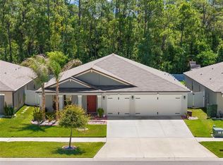 13511 Willow Bluestar Loop, Riverview, FL 33579