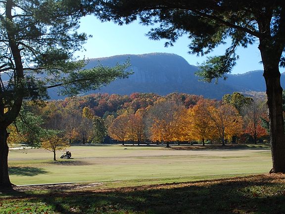 View from Back Porch