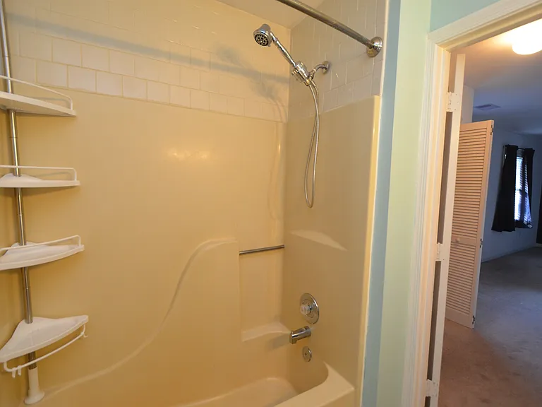 Primary shower tub