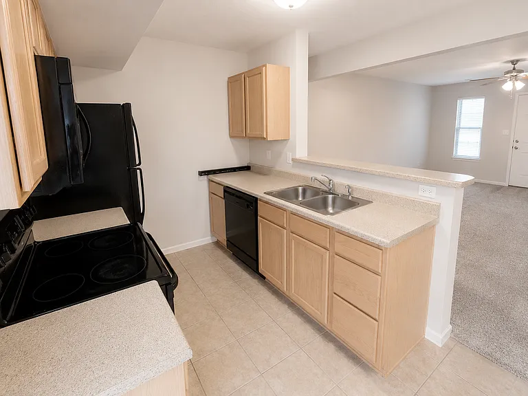 4005 Snowy Owl Dr — Photo 7