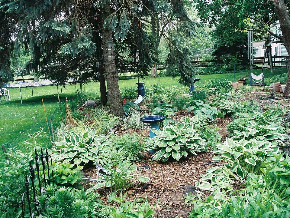 one area of the rear garden.