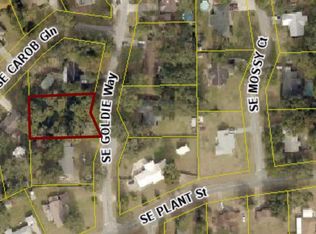 154 SE Goldie Way, Lake City, FL 32025