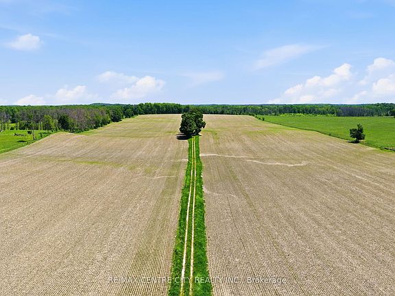 3rd image of 17513 Grey Bruce Line