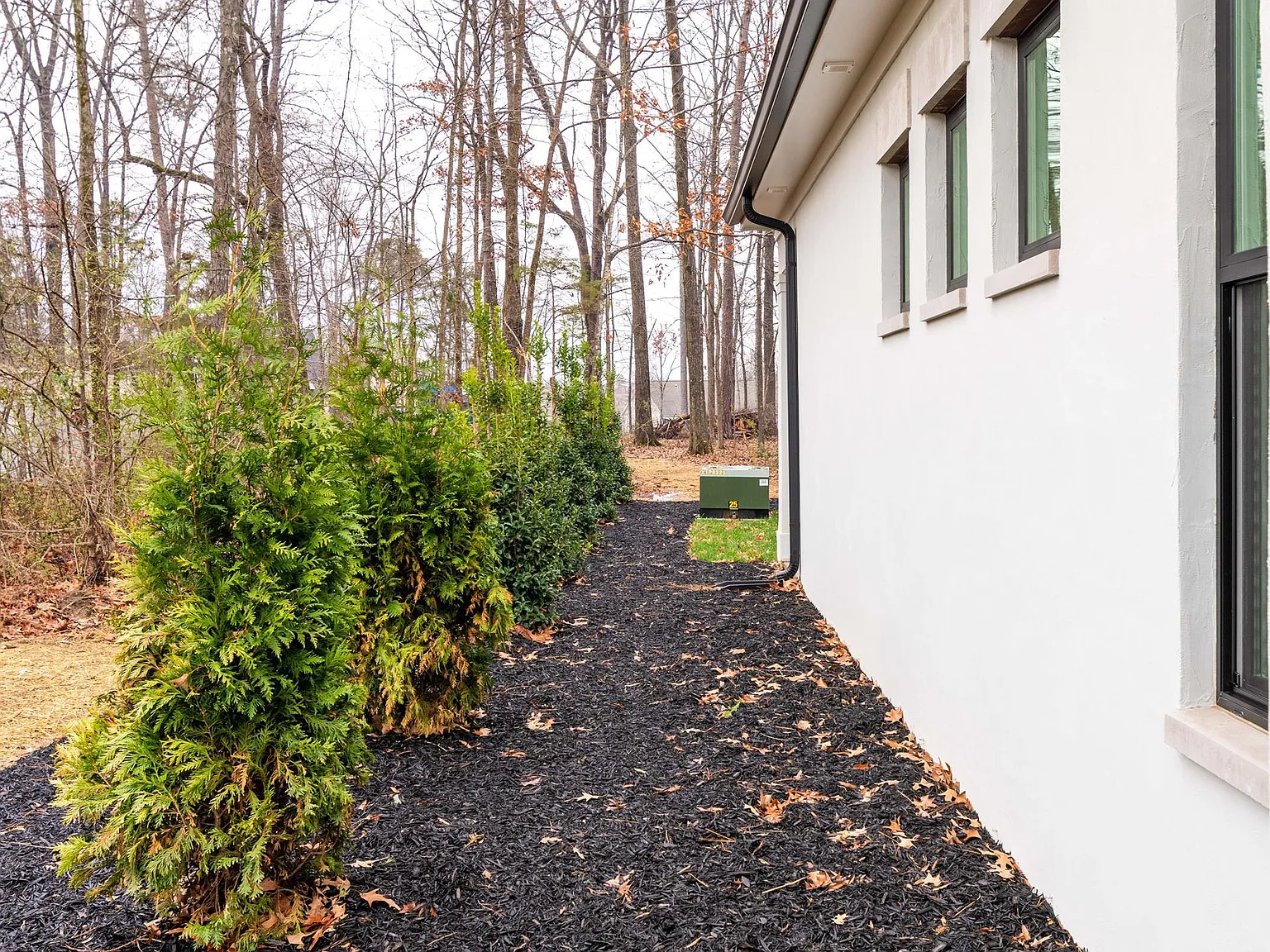 1713 Double Oak Trail - 1 — Photo 3