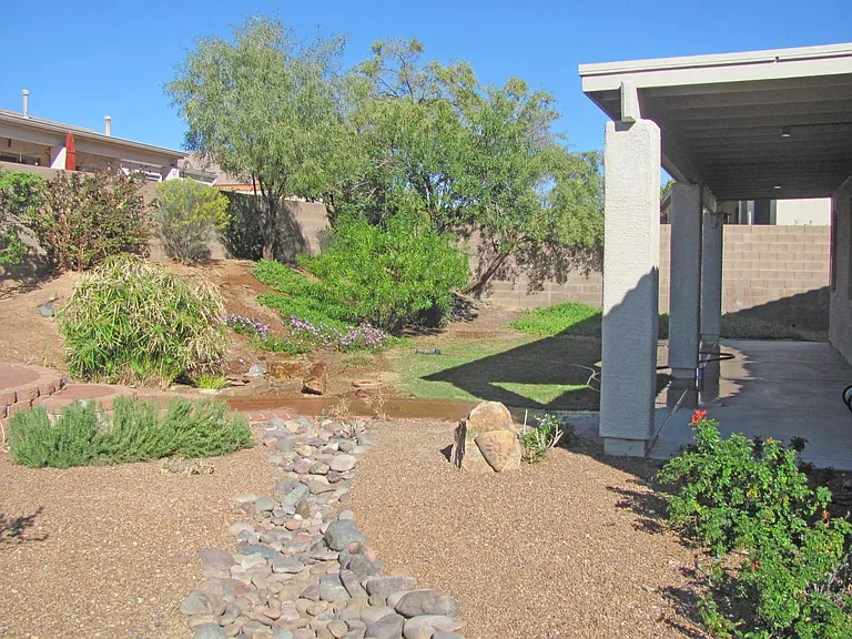 Back yard