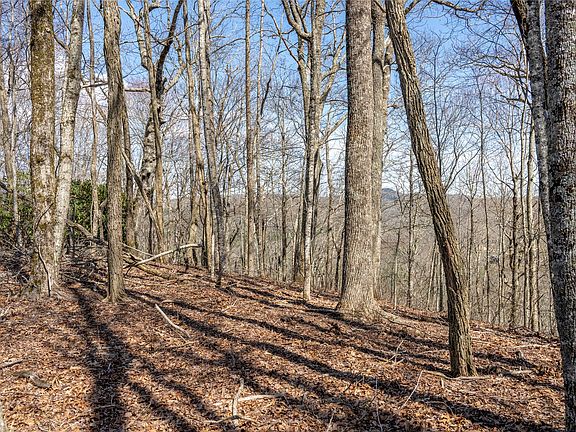 3rd image of C46 Roaming Road