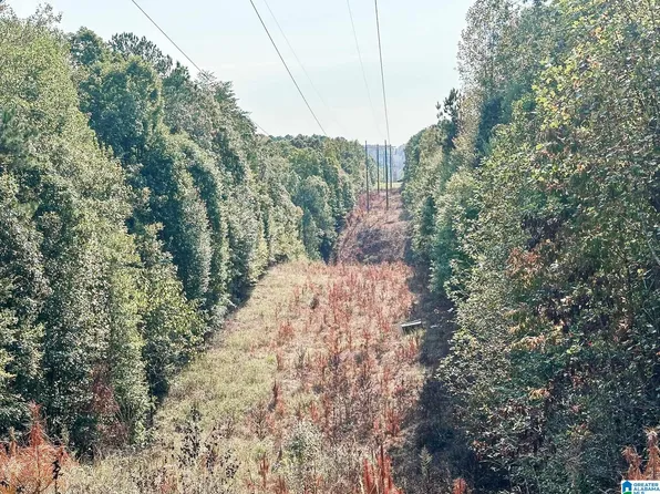 671 Buddy Vines Camp Rd, Bessemer, AL 35023