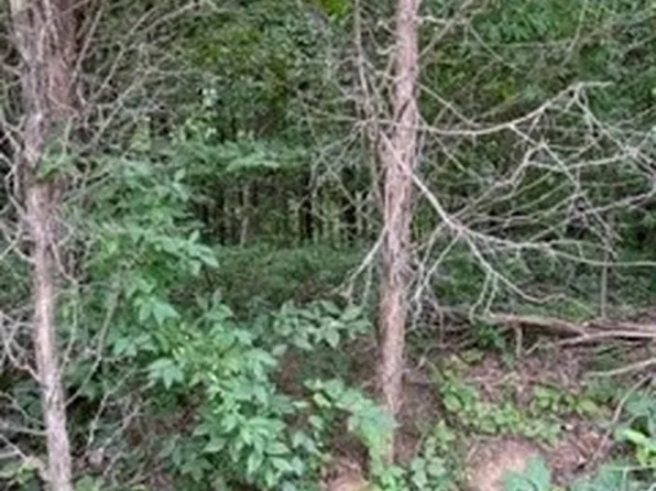 County Road 990 S, English, IN 47454