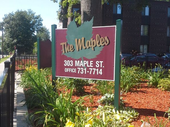 303 Maple St #253