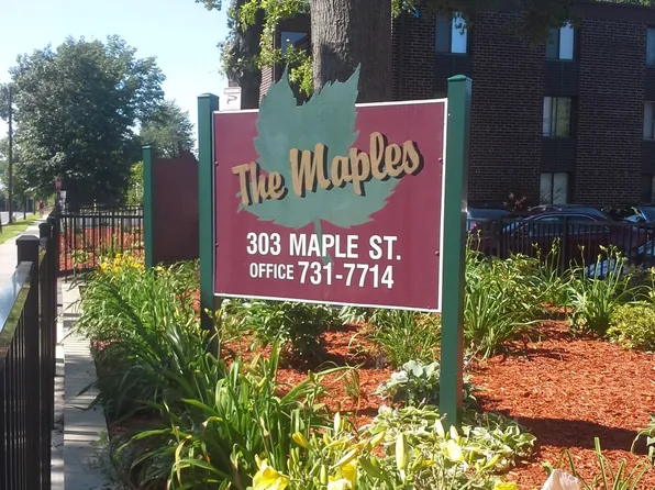 Maples
