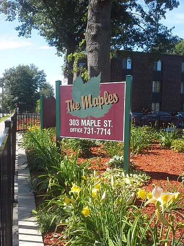 Maples Photo 1 Maples Photo 1