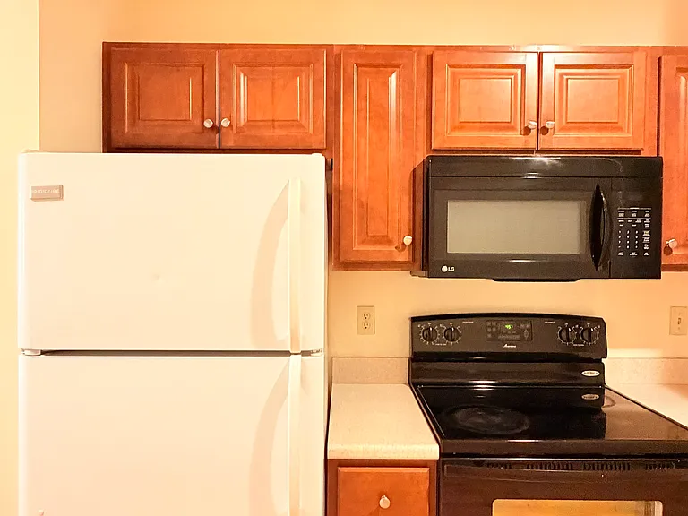 191 College St #203 — Photo 15