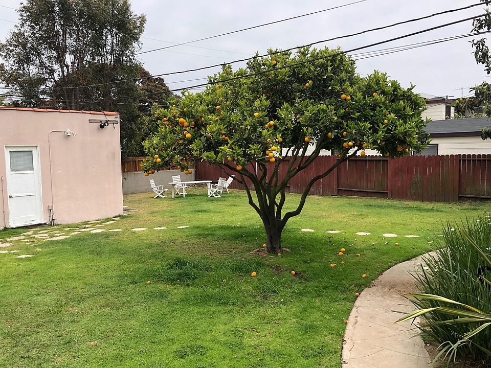 HUGE backyard for pups!