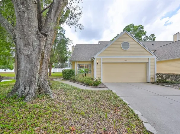 1363 Big Pine Dr, Valrico, FL 33596