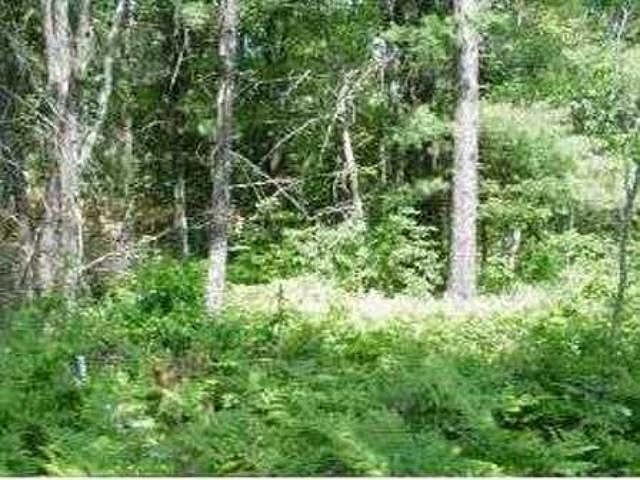 2nd image of 0 Devils Lake Dr