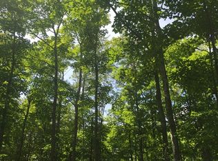 Tbd Waasa Road, Calumet, MI 49913