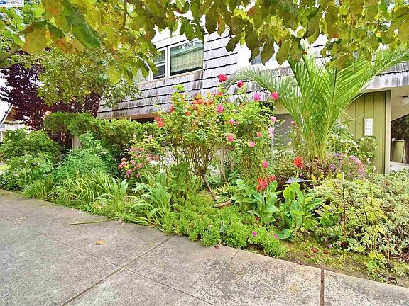 3rd image of 551 Joaquin Ave