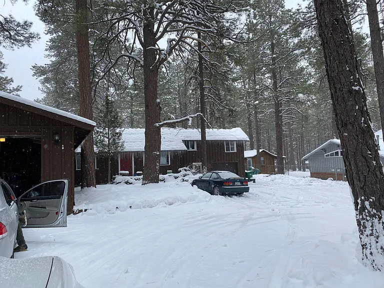 Pine Ridge Dr — Photo 11