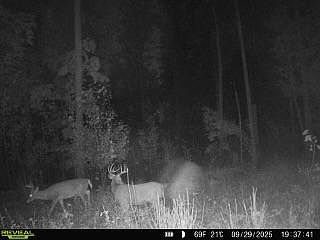 4th image of Xxx Fleming Logging Rd
