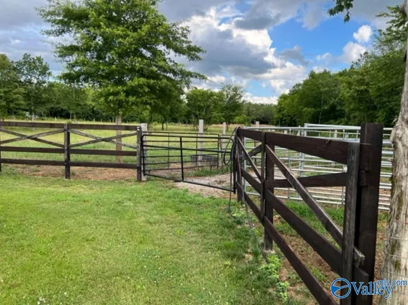 13.3 Acres Hwy #55, Falkville, AL 35622