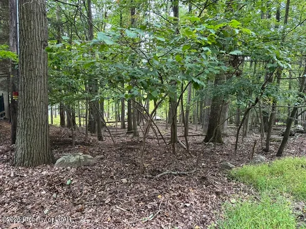 39 Bear Run Dr, Drums, PA 18222