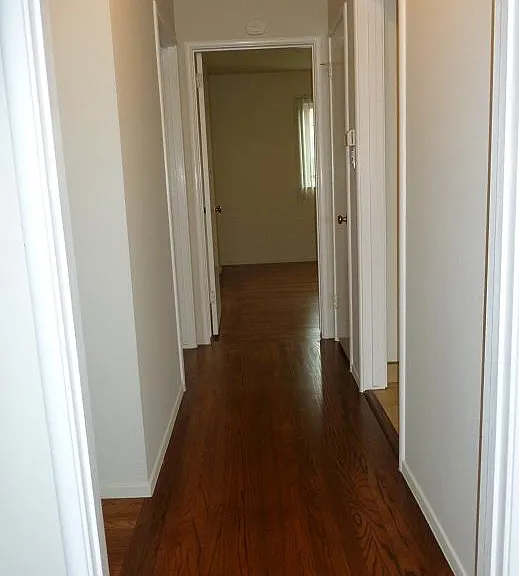 437 Central Ct — Photo 10