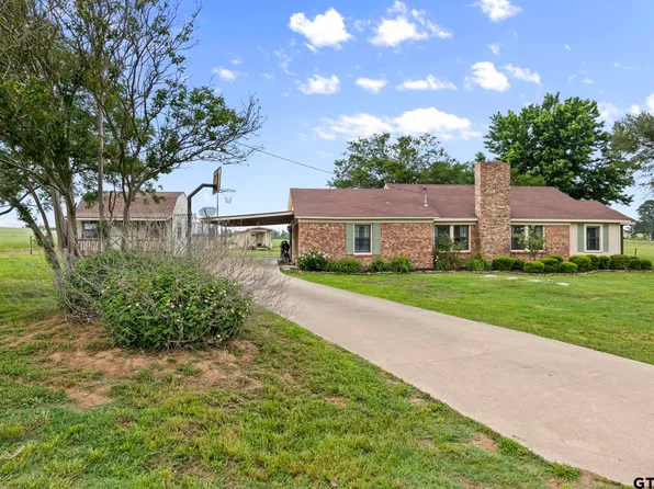 4029 Fm 2455, Pittsburg, TX 75686