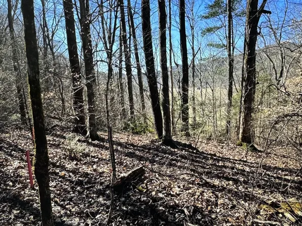 LOT 30 Walden Cove Way, Sevierville, TN 37862