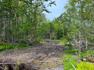 Lot128C Love Lake Road, Baileyville, ME, 04694