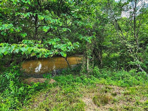 2nd image of 10+/- Acres Heron Drive